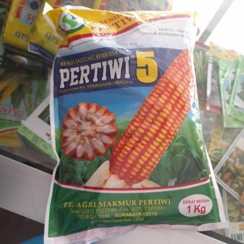 benih unggul jagung hibrida PERTIWI 5 ISI 1 KG