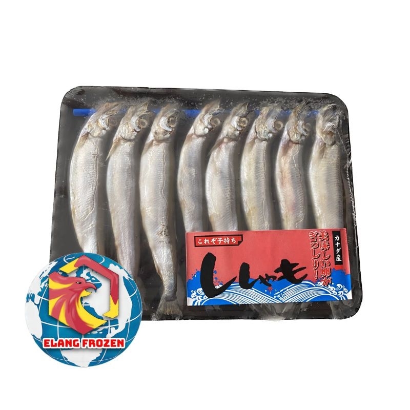 

Ikan Shisamo | Ikan Capelin Besar dan full Telur 180gr