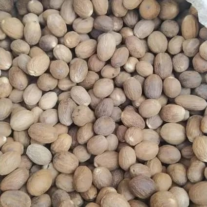 

Bumbu Dapur Biji Pala/ Nutmeg Rempah Bumbu Masakan - 50 Gram dan 100 Gram