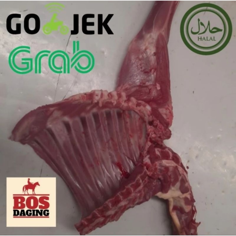

Paha dan Iga Domba dijamin Daging Fresh Segar