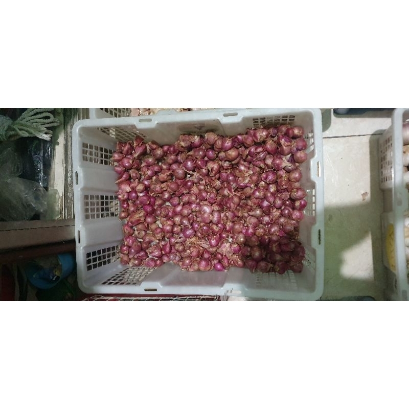 

bawang merah