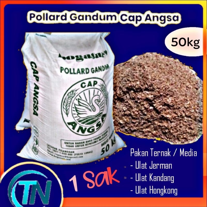 Pollard Gandum Cap Angsa 1Sak / 50kg