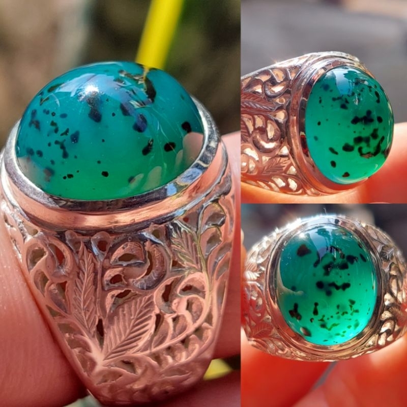 Bacan Totol Coklat Ajib