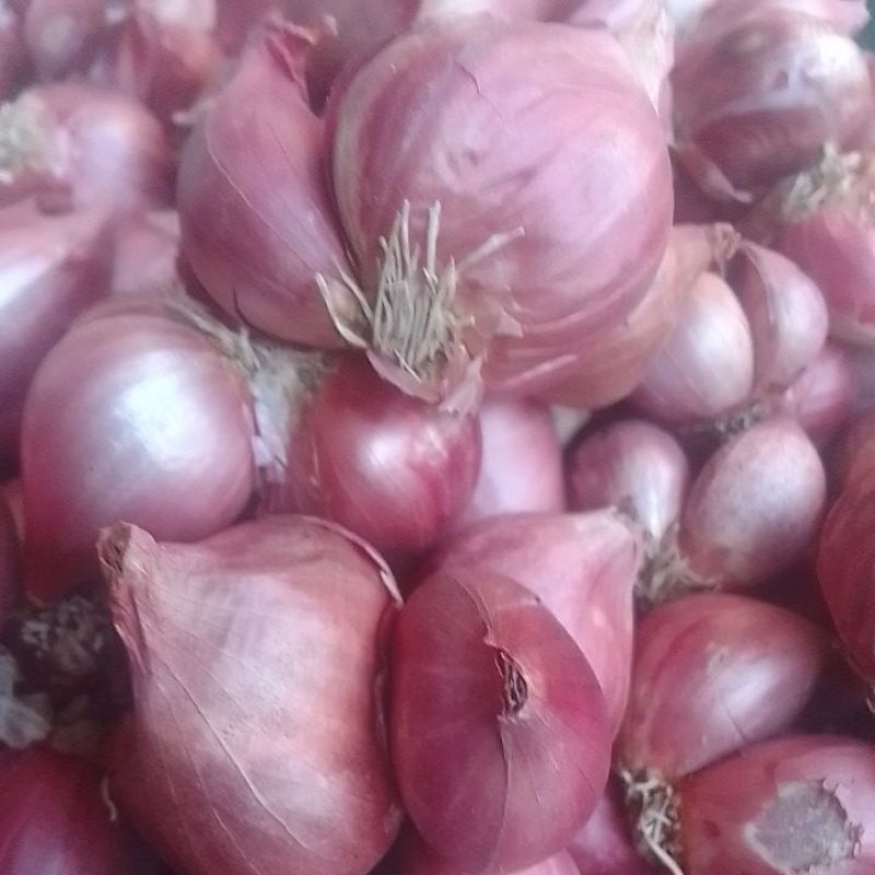 

Bawang Merah Nganjuk
