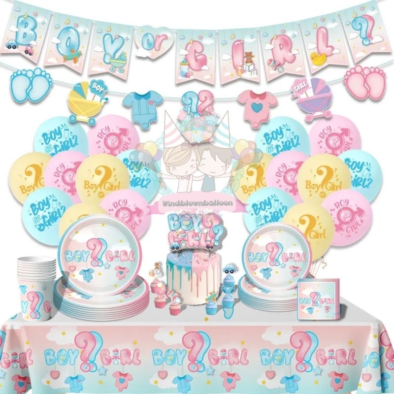 WINDBLOWN BALON BABY REVEAL GENDER DECOR / DEKORASI AQIQAH BAYI PEREMPUAN LAKI