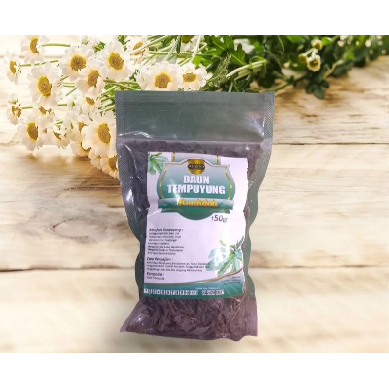 

DAUN TEMPUYUNG KERING 50 GRAM