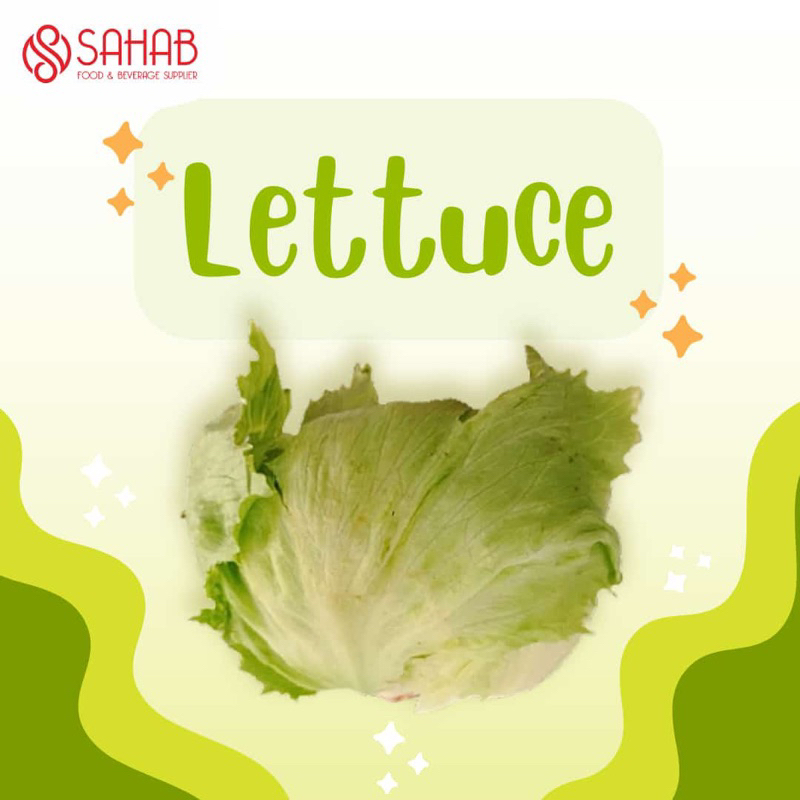 

Sayur Lettuce/ Lettuce / Sayur segar