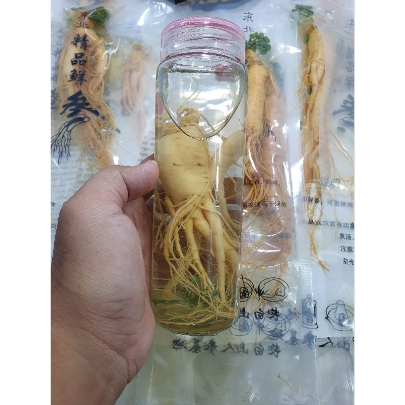 Ginseng PREMlUM Fres Import Asli Ukuran Super Besar 150 gr + botol kaca
