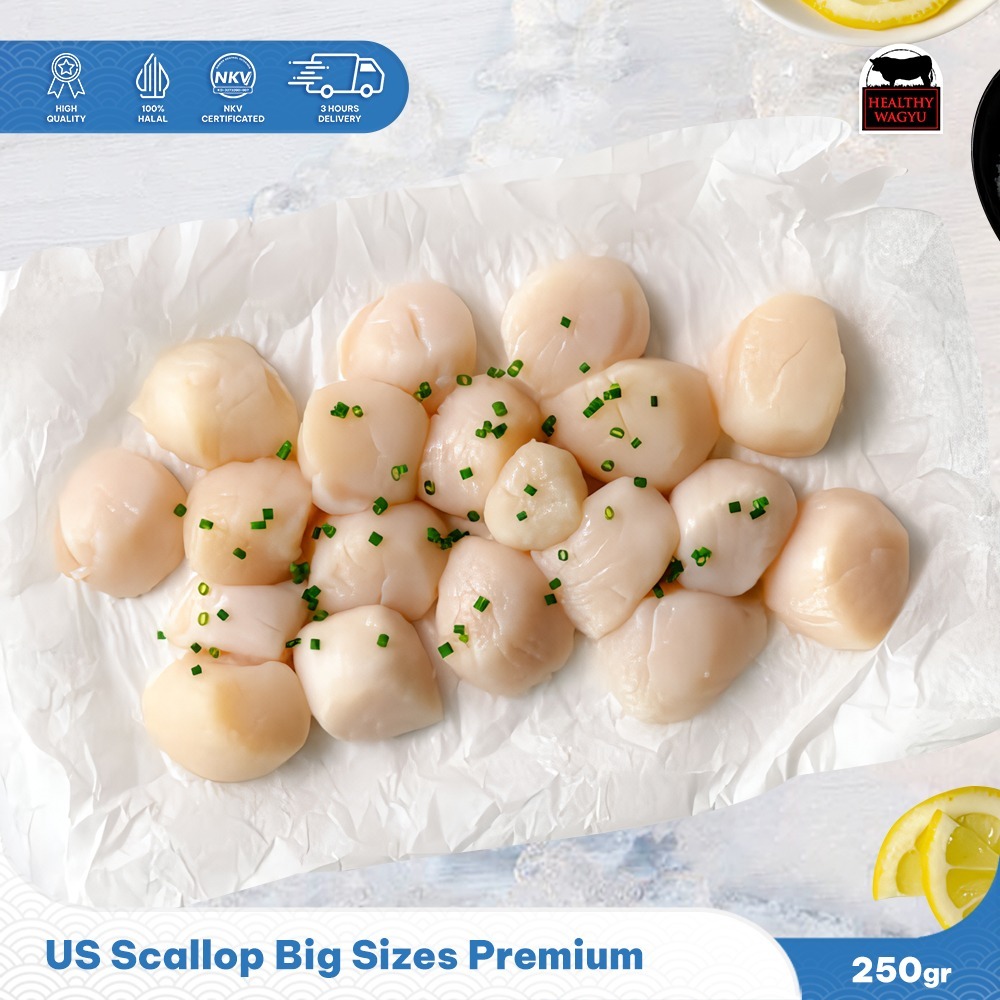 

SCALLOP JUMBO USA 250GR Healthy wagyu