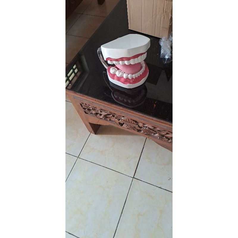 PhantomGigiAnak/AlatPeragapendidikan