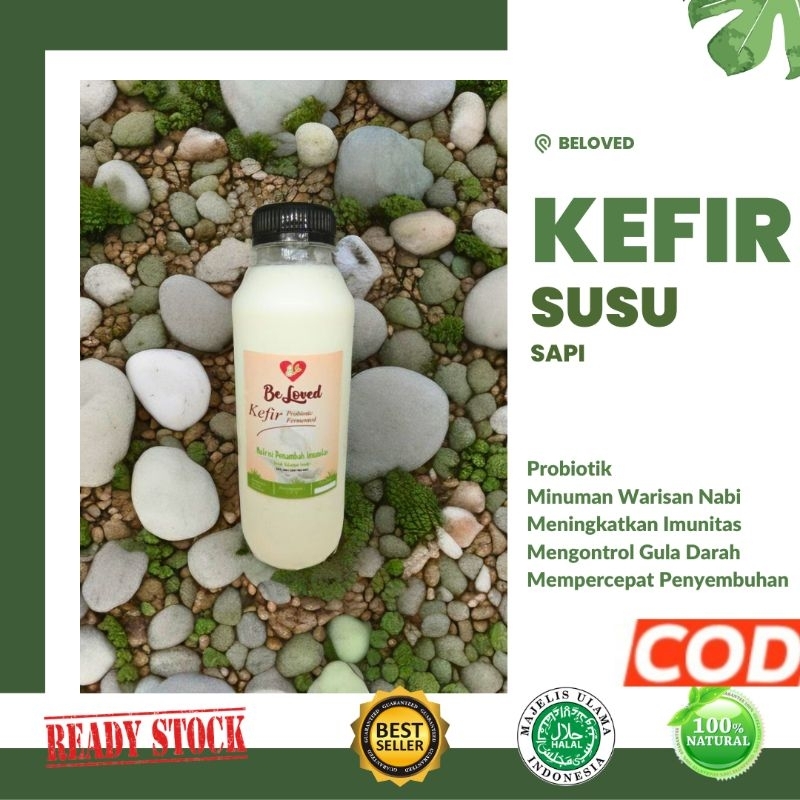 

Kefir Susu Sapi Probiotik Minuman Fermentasi KLF 1 Liter