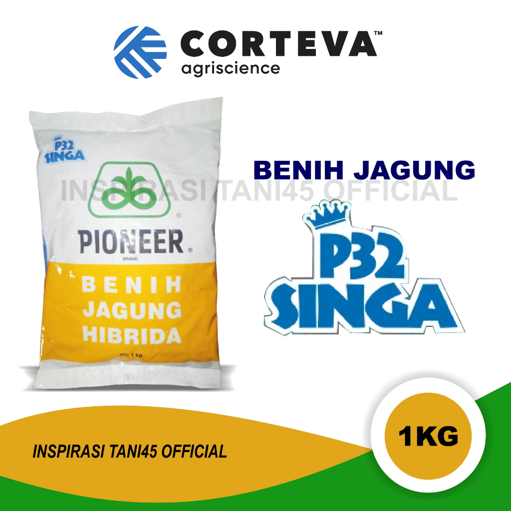 Benih jagung pioneer p32 1kg/Bibit jagung pioneer p32 singa 1kg/Pioneer p32/Benih jagung p32 singa