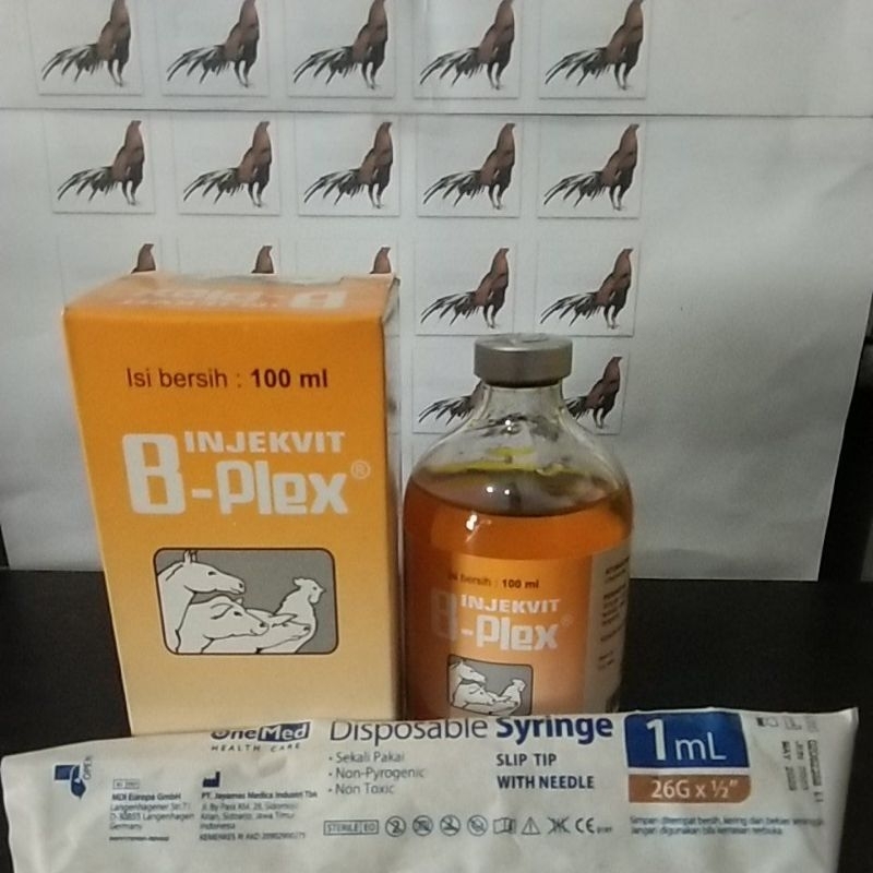Vitamin B complex injeksi 100ml+spuit 1 ml