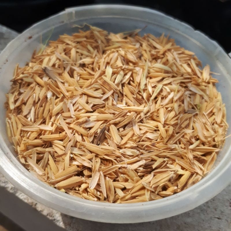 Sekam Mentah / Bakar