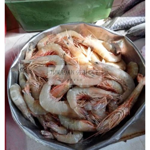 

UDANG KROSOK 250 GRAM SEGAR FRESH