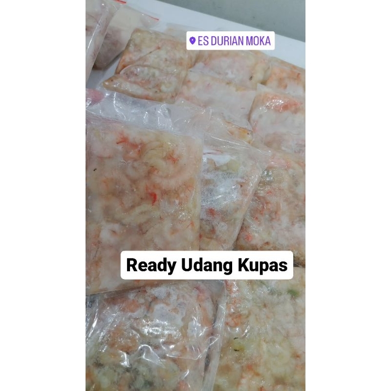 

Udang, Cumi dan Kepiting Segar BEKU