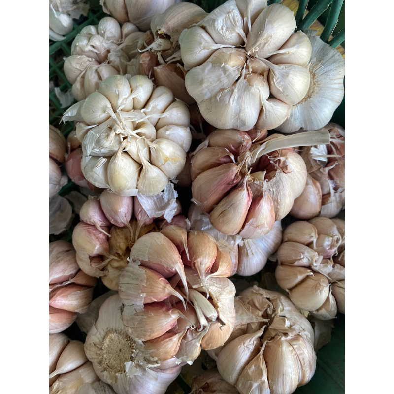 

bawang putih/merah