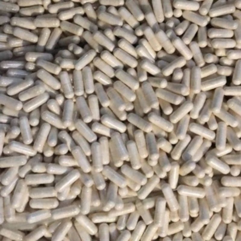 1 KAPSUL PRO ALBUMIN - Obat Luka Kucing Obat Luka Dalam Kucing Obat Kucing Lemas Tertabrak Obat Pend