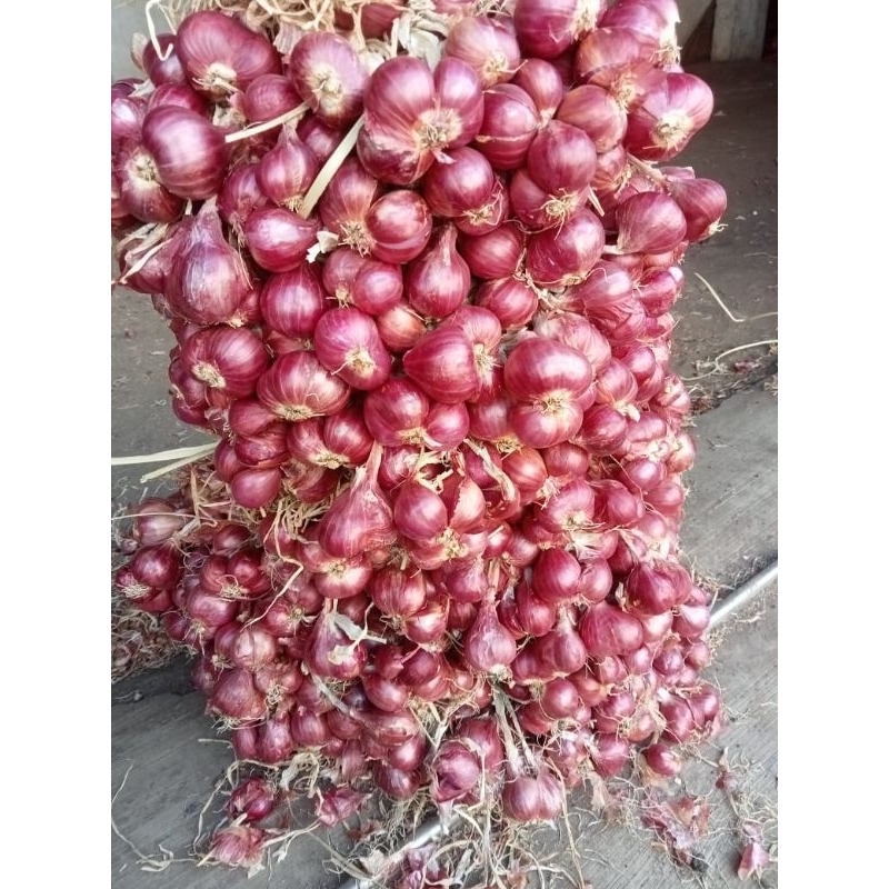 

Bawang Merah