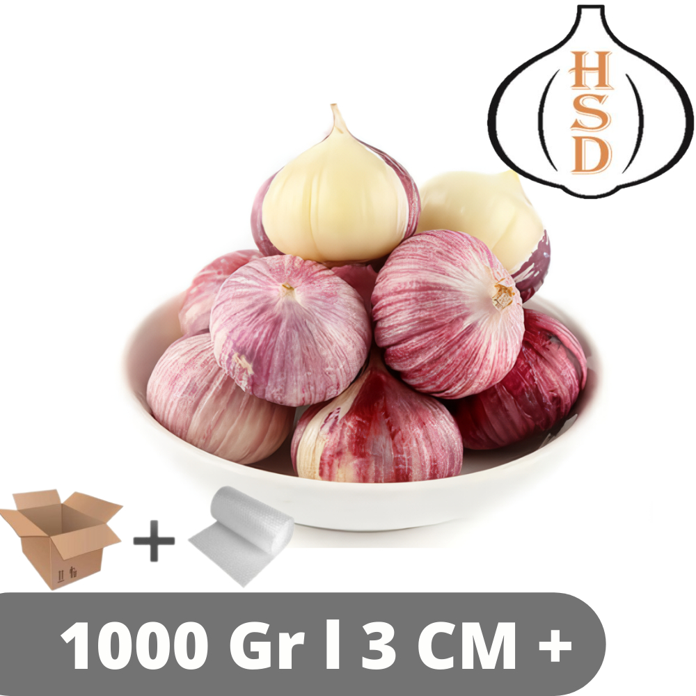 

HSD Bawang Tunggal 3 Cm Solo Garlic 1 Kg