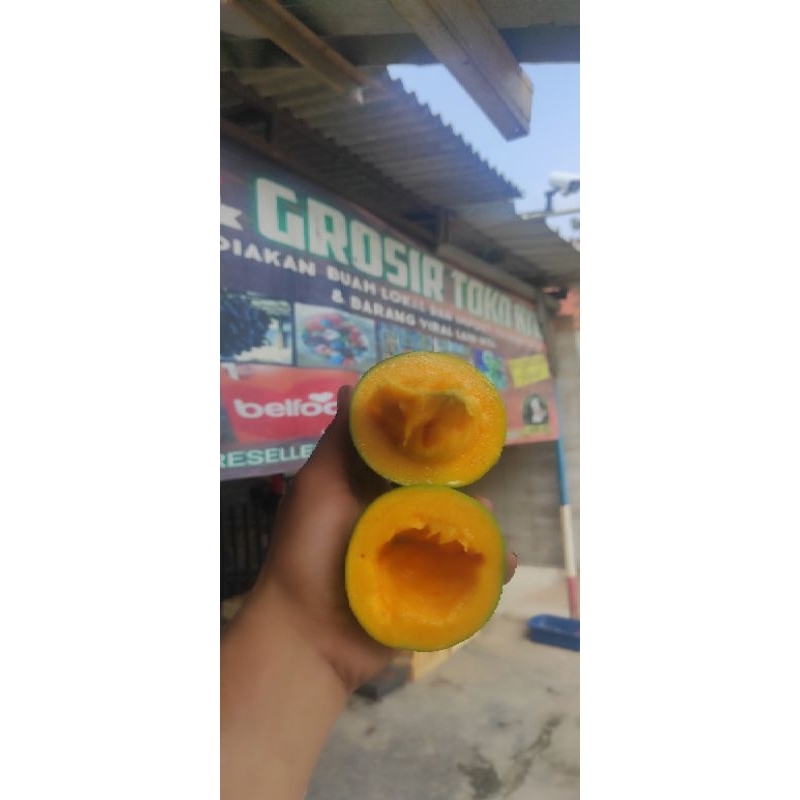 

mangga alpukat grade C