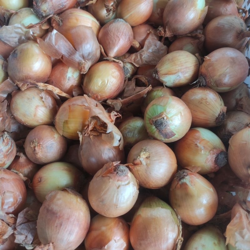 

Bawang Bombay 1kg / Bawang Telur 1kg