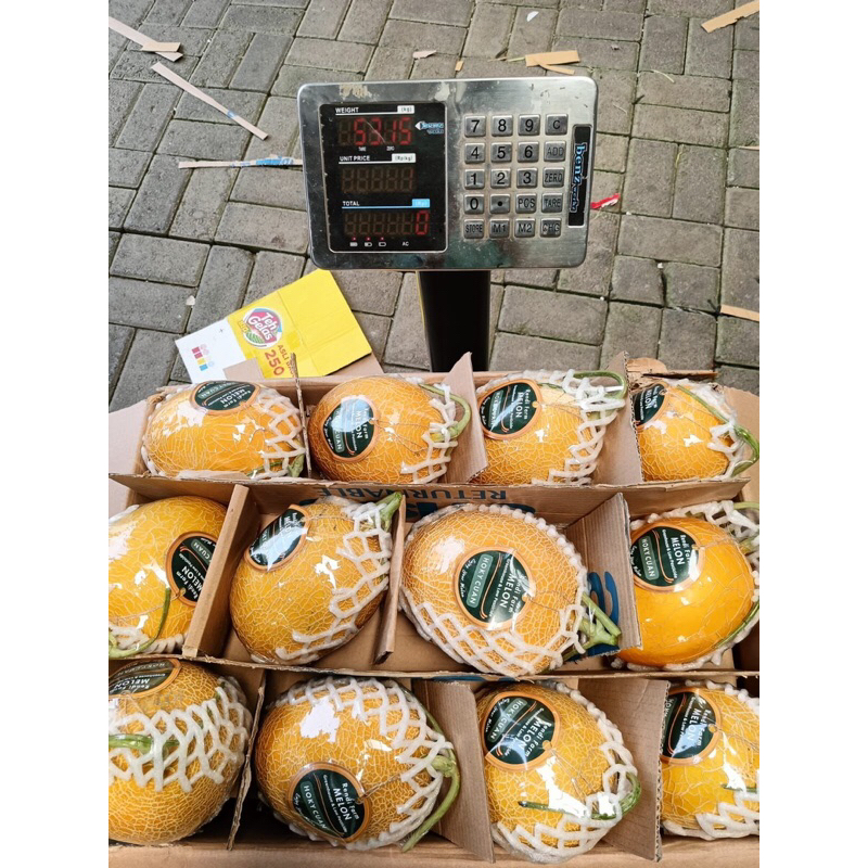 

MELON Hamikua Kirin Preorder 1,5-2kg