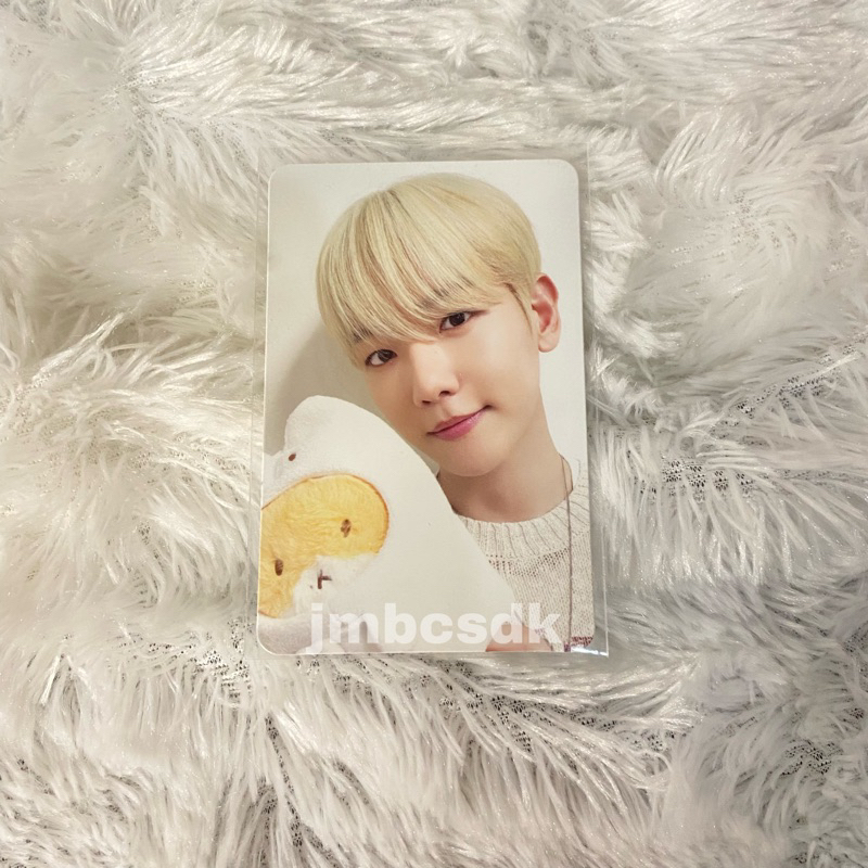 [READY] PHOTOCARD ONLY BAEKHYUN FROM MD TEOLAEGI 20CM GHOST TEOLAEGI