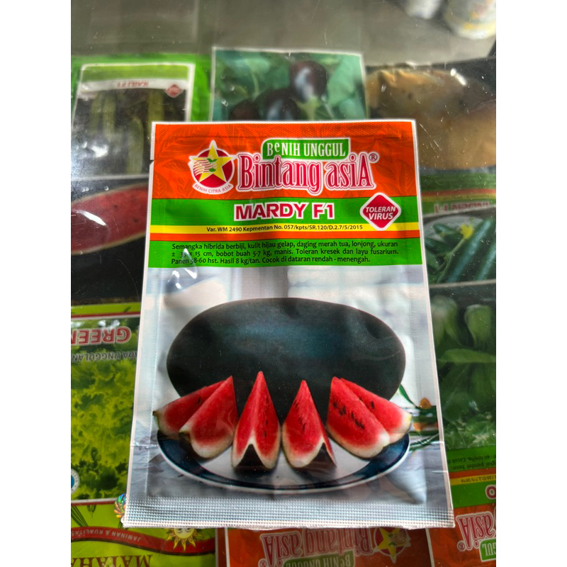 Benih Semangka Mardy F1 Bintang Asia