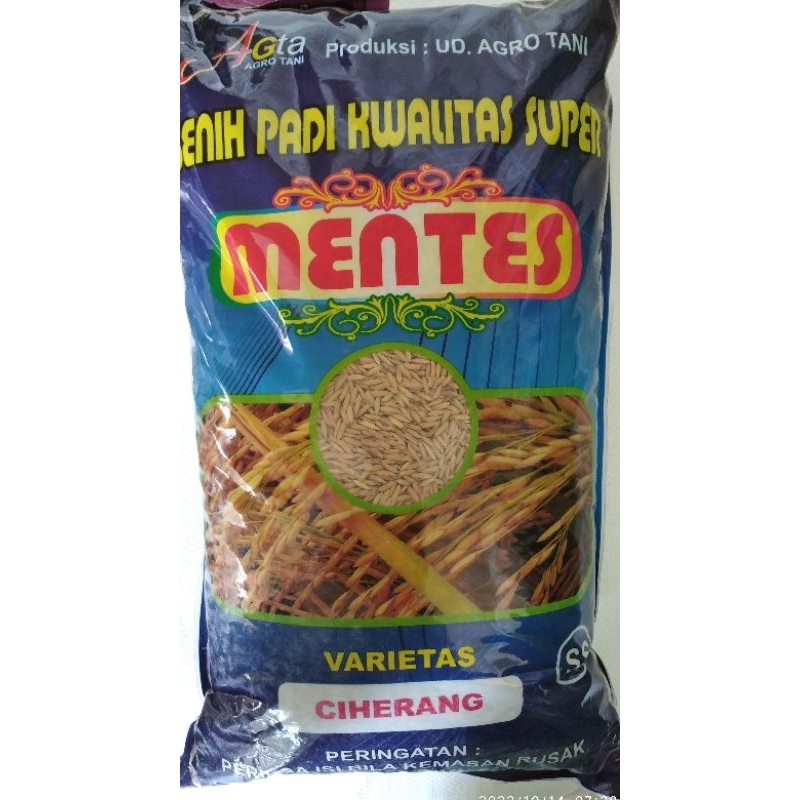 BENIH PADI CIHERANG SS MENTES 5 KG