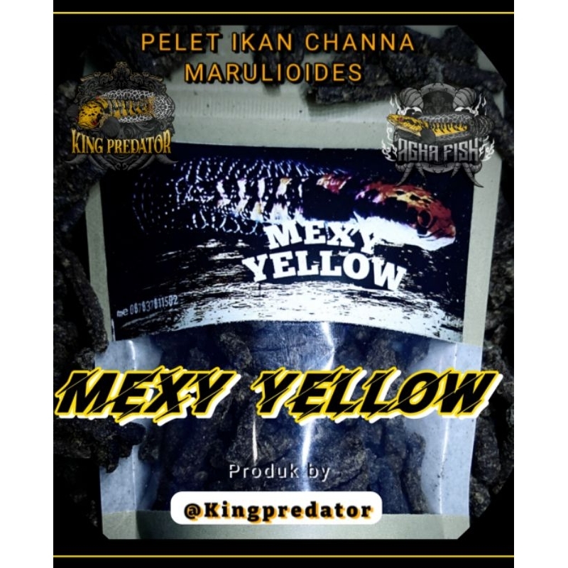 MEXY YELLOW (pelet channa marulioides)