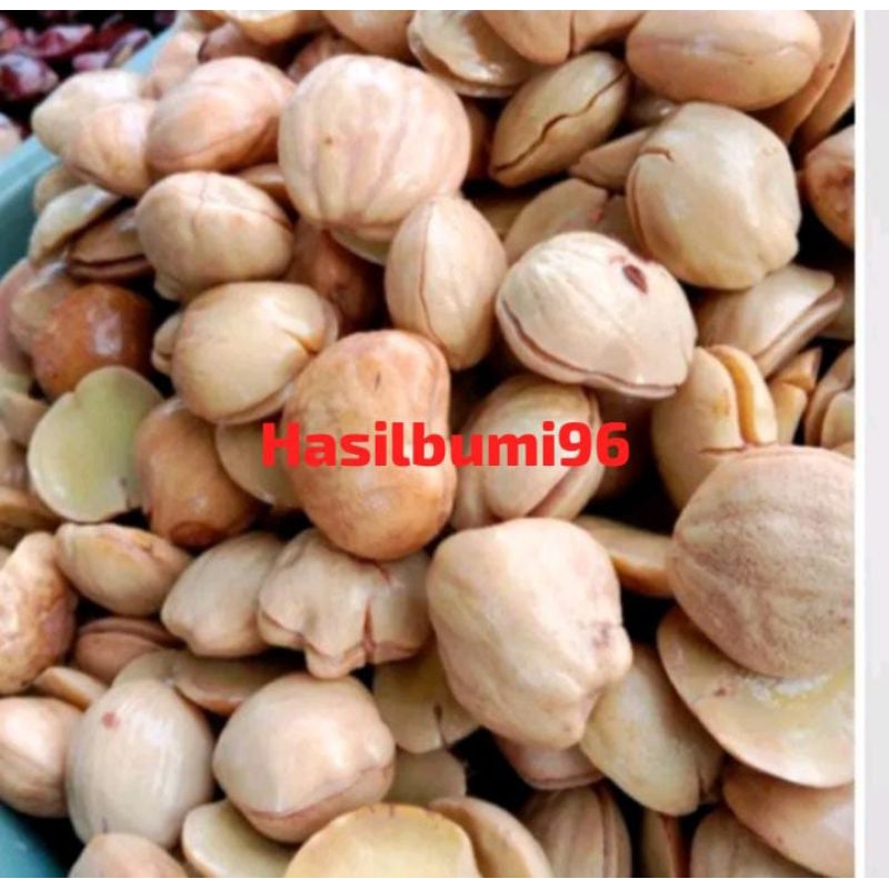 

JENGKOL REBUSAN SUPER EMPUK PULEN KEMASAN 1KG