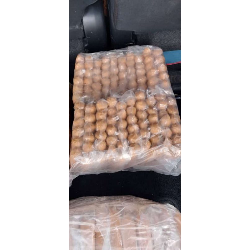 

SOSIS DAGING SAPI PREMIUM SOSIS SAPI HALAL SOSIS SAPI 500 GRAM ISI 6 SOSIS SAPI COCOK UNTUK KAFE, SOSIS BAKAR, SOSIS TUSUK, SOSIS PANGGANG, SOSIS SAPI ENAK, SOSIS SAPI BRATWURST, SOSIS SAPI STANDAR KANZLER