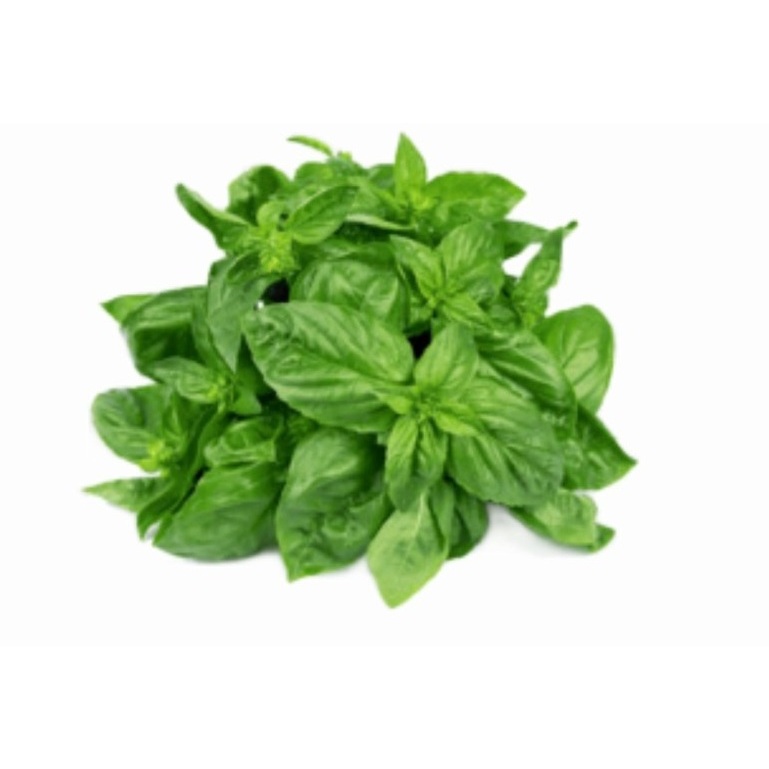 

Daun Kemangi 50 gram