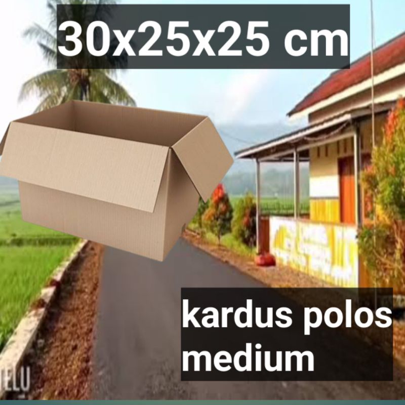 

kardus/karton 30x25x25cm