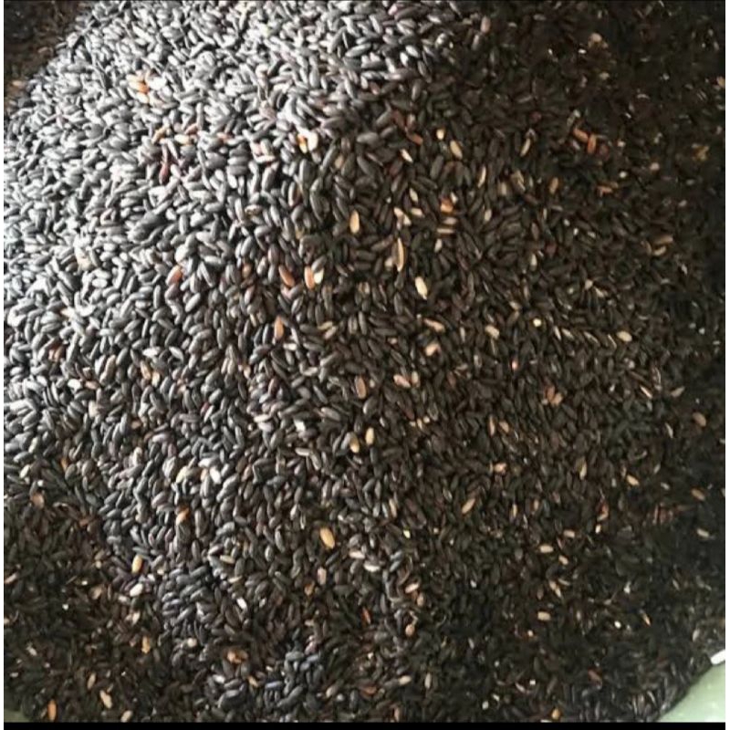 

ketan hitam 500g