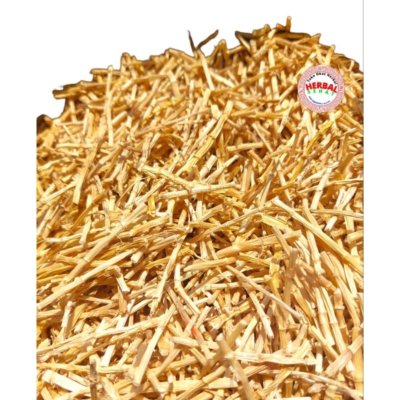 

Akar Alang Alang Lokal 100 gram Bai Mao Gen