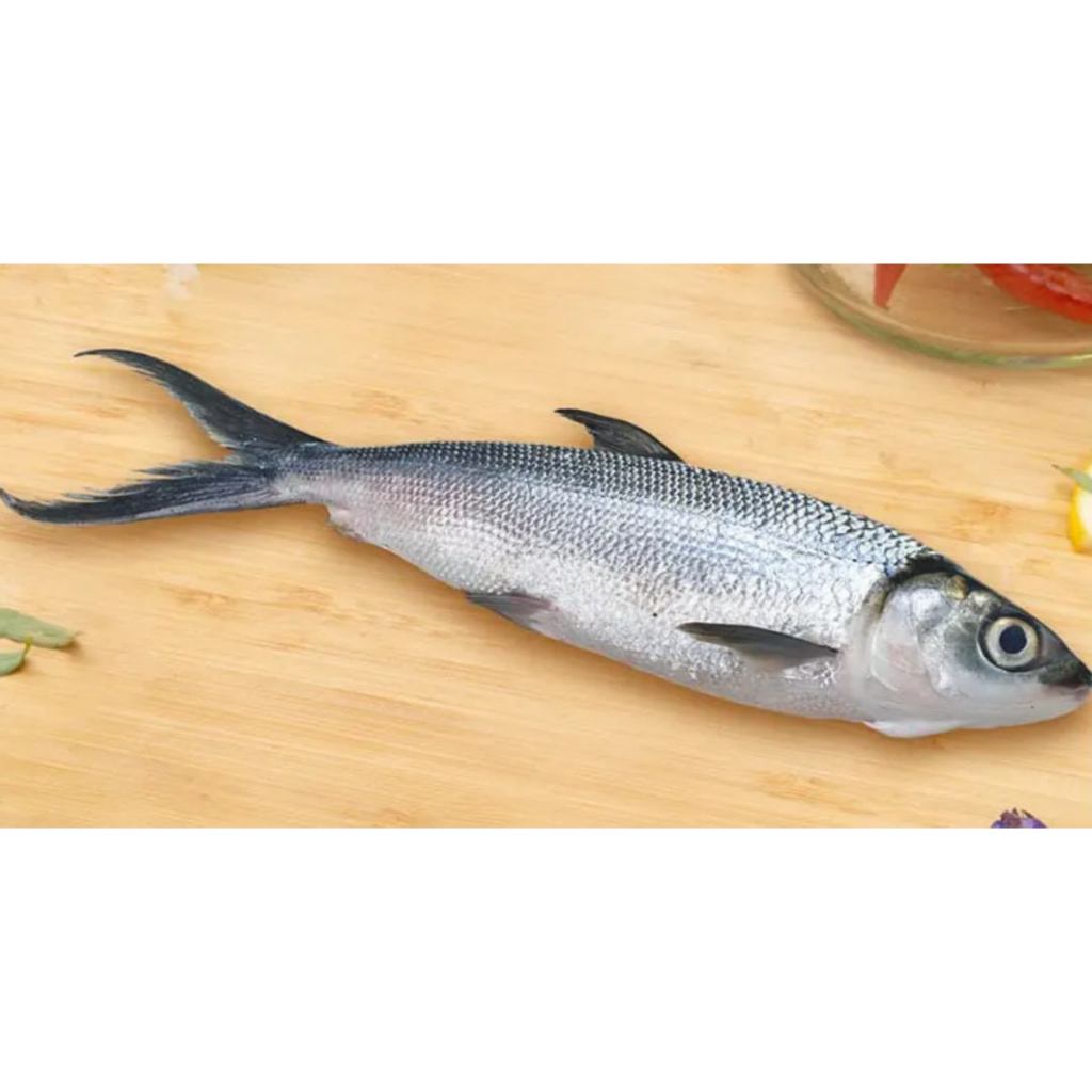 

Ikan Bandeng Segar Frozen Ukuran ± 650 gram