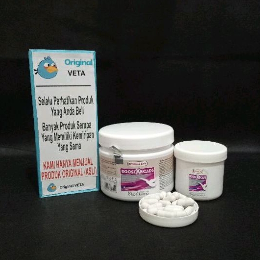BOOST X5 CAPS VERSELE LAGA STAMINA BURUNG MERPATI TENAGA LOMBA LATIHAN BOOST X5 IMPORT