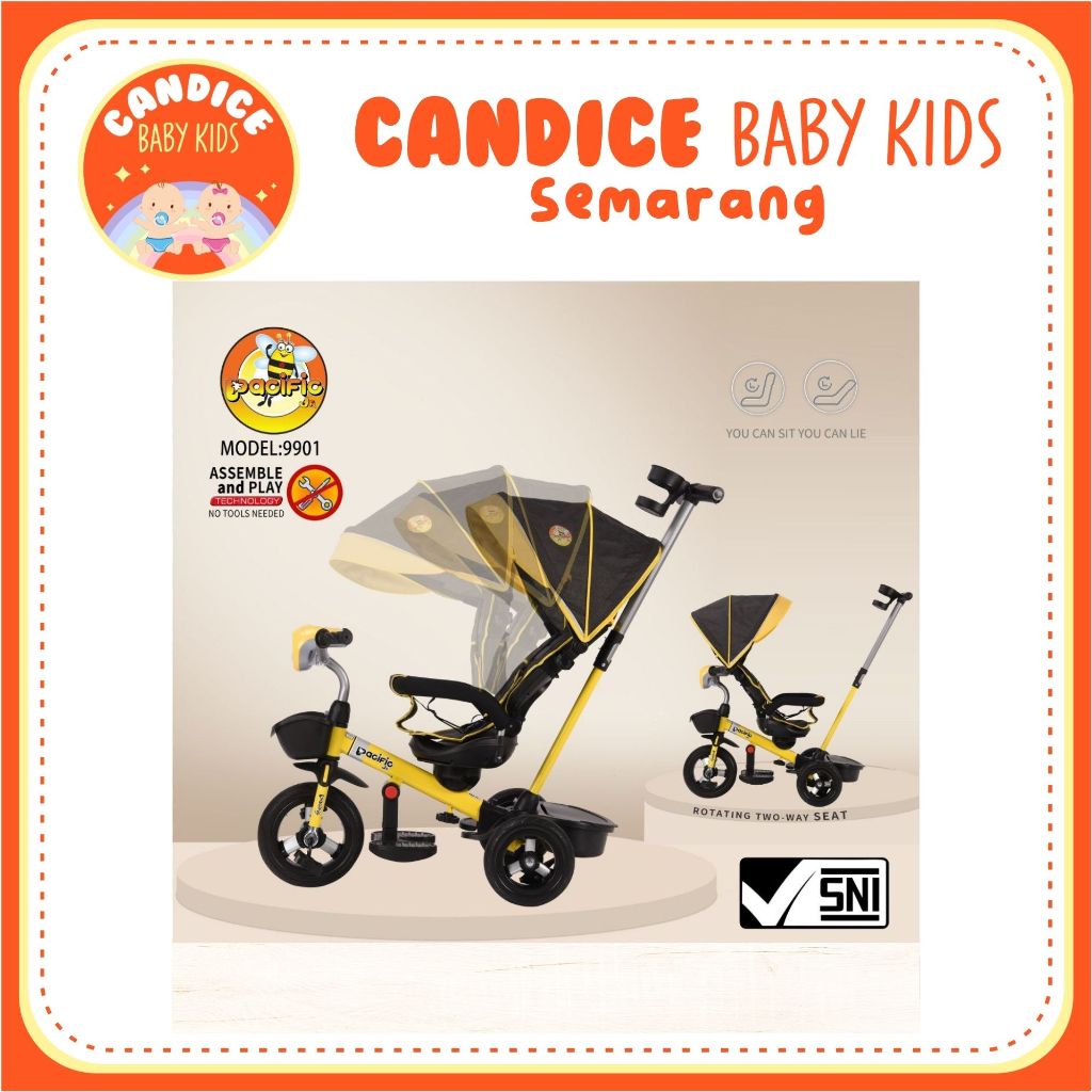 SEPEDA ANAK RODA TIGA PASIFIC 9901