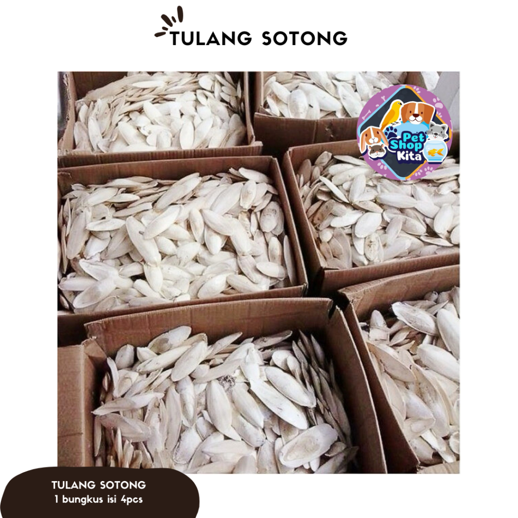 

TULANG SOTONG ( 1 PACK ISI 4 PCS)