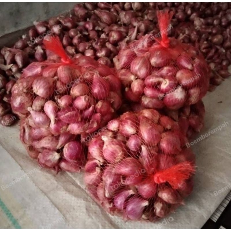 

BAWANG BREBES (macam" produk BAWANG) cek outlet olshop kita