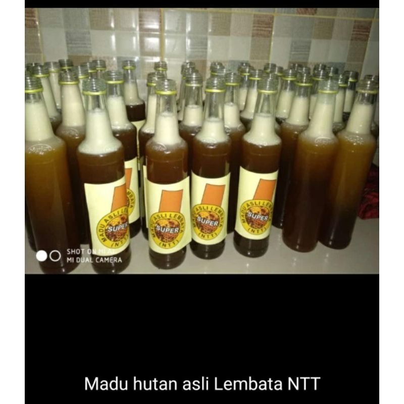 

madu hutan asli Lembata NTT