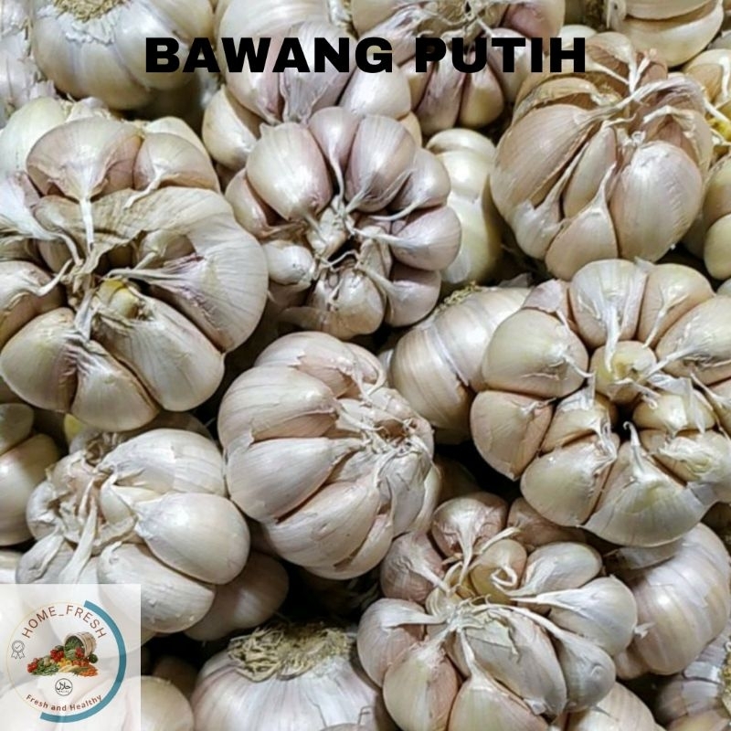 

Bawang Putih Cincau Lokal Segar 1 Kg