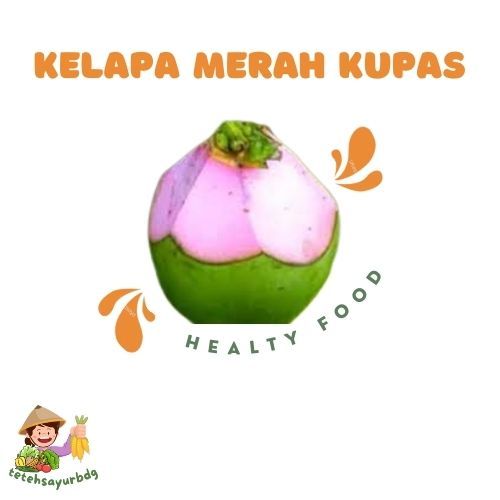 KELAPA MERAH OBAT KELAPA HIJAU KELAPA MUDA SEGAR