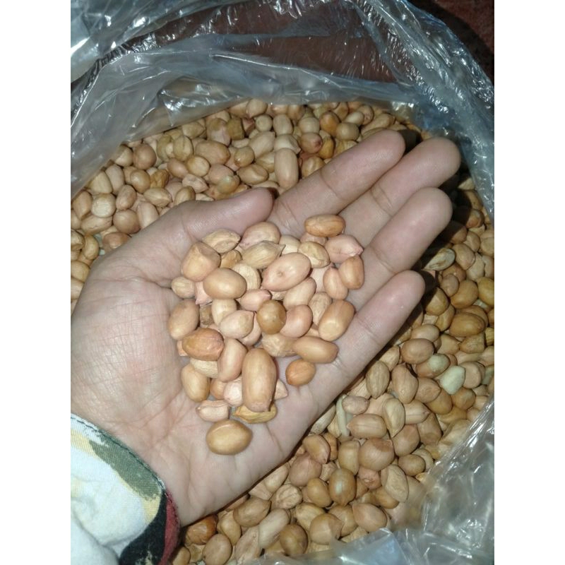 

Kacang Tanah Super