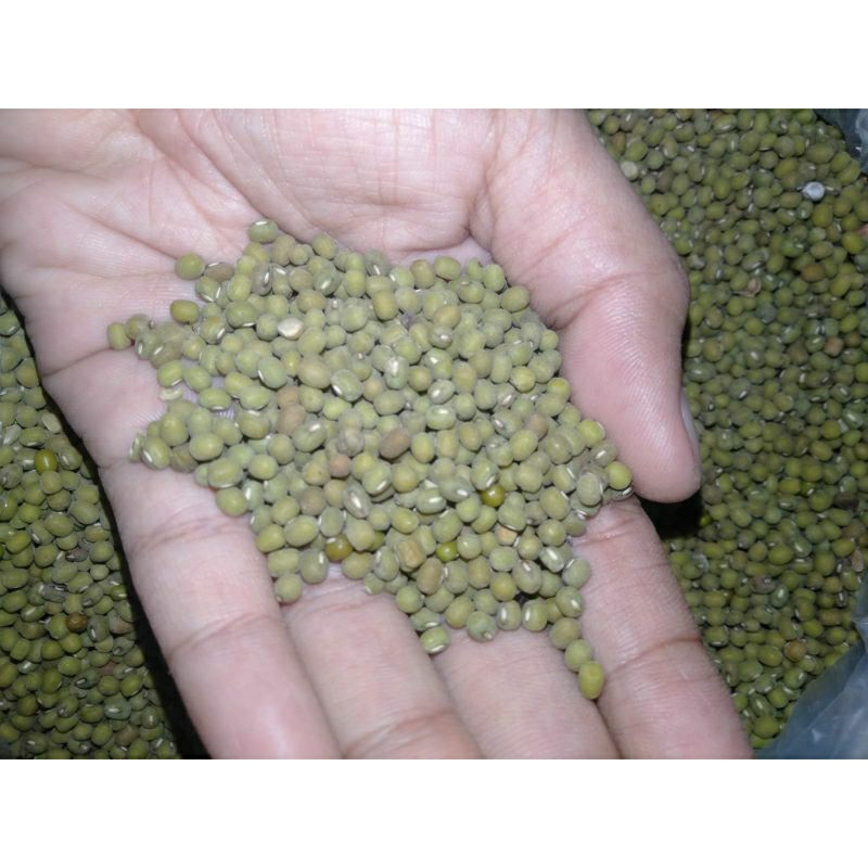 

Kacang Ijo Kecil Super 1 KG