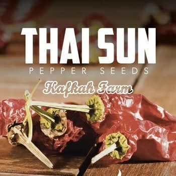 Benih 5 Biji PEPPER Thai Sun