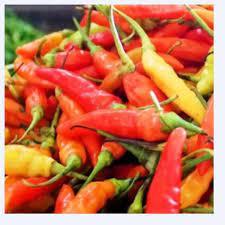 

CABE RAWIT MERAH _ 250gr