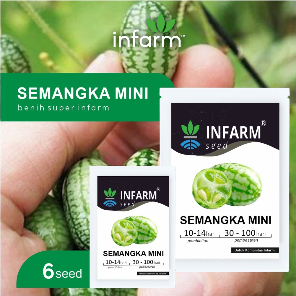INFARM - Benih Bibit Biji Super Semangka Mini Cucamelon